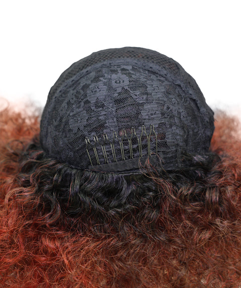 LUXLUXE Afro Kinky Curly Wig – 16 Inch Textured Curl Style Full Rounded 130g Bold Hair Heat Resistant Synthetic Fiber