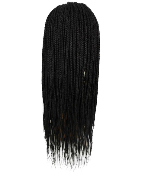 Layla Natural Black Synthetic HD Lace Wig wig
