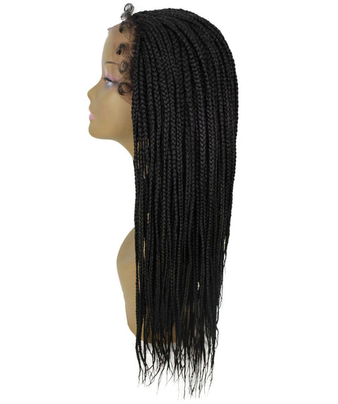 Layla Natural Black Synthetic HD Lace Wig wig