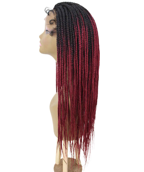 Layla Burgundy Ombre Synthetic HD Lace Wig wig