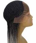 Virgin Human Hair Fertilizer Braided Lace Front Wigs in USA for Sale
