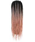 Viola Light Pink Lace Braided Wig