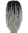 Vasuda light grey ombre Box Braids Lace Wig