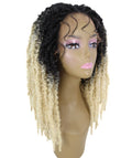 Vasuda Blonde Ombre Box Braids Lace Wig