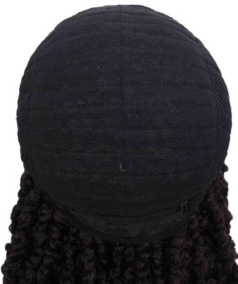 Virgin Human Fertilizer Braided Glueless Lace Front Wigs