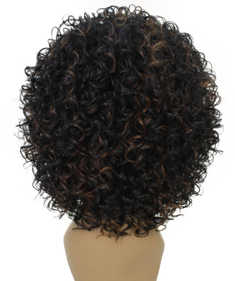 Vale 12 inch Copper Blonde to Black Blend Afro Half Wig