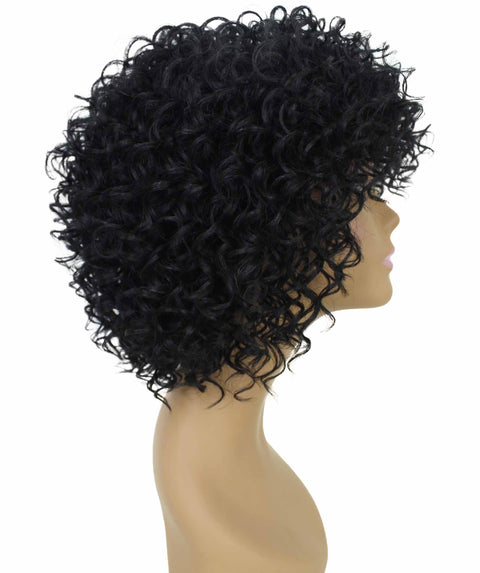 Gabrielle Black Curly Afro Full Wig