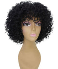 Gabrielle Black Curly Afro Full Wig