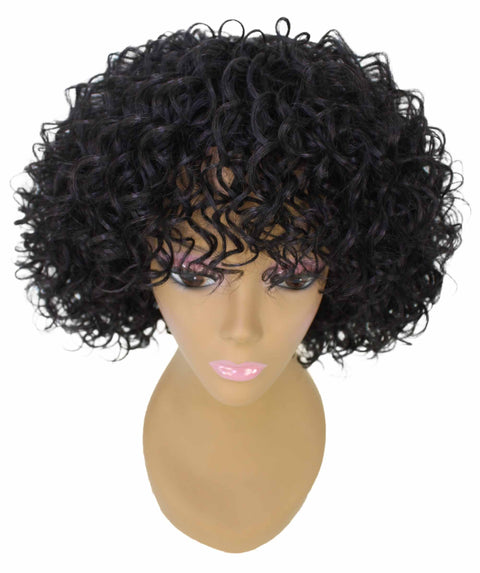 Gabrielle Natural Black Curly Afro Full Wig