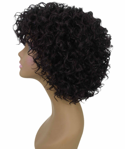 Gabrielle Dark Brown Curly Afro Full Wig