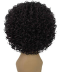 Gabrielle Dark Brown Curly Afro Full Wig