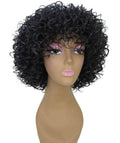 Gabrielle Salt and Pepper Blend Curly Afro Full Wig