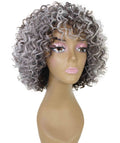 Gabrielle Charcoal Gray Curly Afro Full Wig