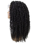 Tierra  Natural Black Twisted Braids Lace Wig