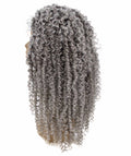 Tierra Grey Twisted Braids Lace Wig