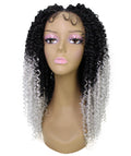 Tierra  Grey Ombre Braids Lace Wig