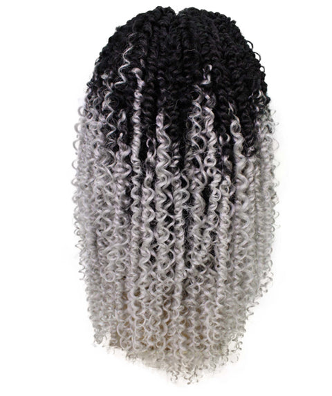 Tierra  Grey Ombre Braids Lace Wig