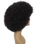 Taylor Natural Black Afro Hair Wig