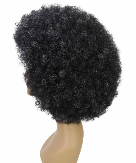 Taylor Salt and Pepper Blend Afro Hair Wig