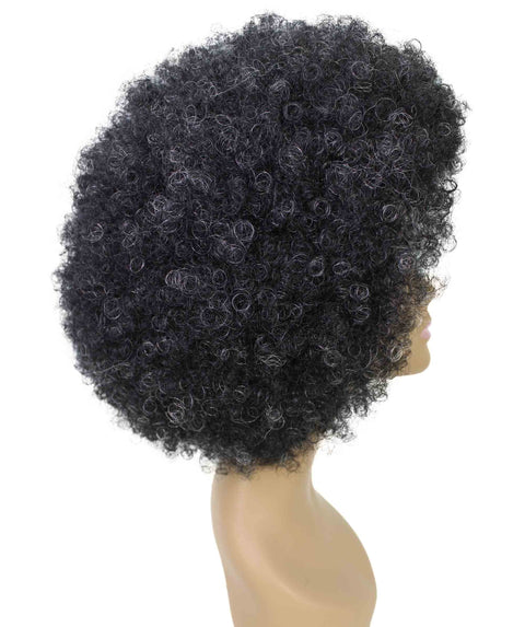 Taylor Salt and Pepper Blend Afro Hair Wig