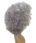 Taylor Charcoal Gray Afro Hair Wig