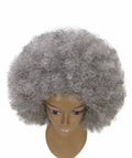 Taylor Charcoal Gray Afro Hair Wig