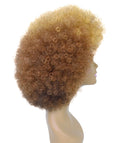 Taylor Auburn Brown with Chestnut Blend Afro Hair Wig