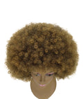 Taylor Dark Brown with Golden Afro Hair Wig
