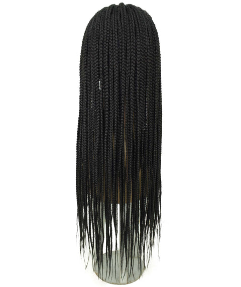 Jordan Natural Black Braided Lace Wig