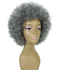 Audre Ash Gray Afro Half Wig