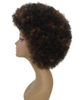 Audre Dark Brown Blend Afro Half Wig