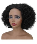 Naomi Black Afro Lace Wig