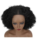 Naomi Natural Black Afro Lace Wig