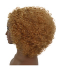 Naomi  Medium Brown Afro Lace Wig