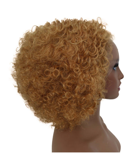 Naomi Medium Brown Afro Lace Wig
